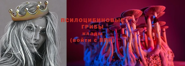 ПСИЛОЦИБИНОВЫЕ ГРИБЫ Абдулино