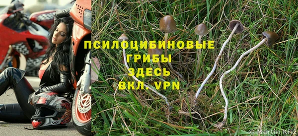 ПСИЛОЦИБИНОВЫЕ ГРИБЫ Абдулино