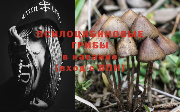 а пвп мука Алзамай