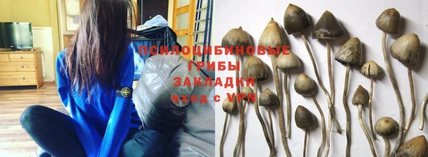 ПСИЛОЦИБИНОВЫЕ ГРИБЫ Абдулино
