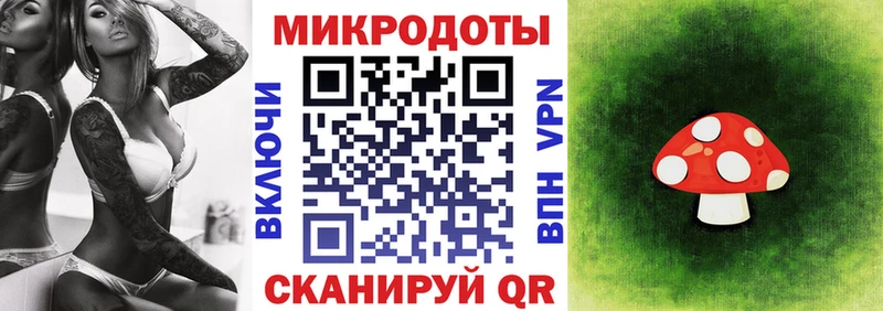 Псилоцибиновые грибы Psilocybe  Севастополь 